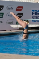 Thumbnail - Manou Meulebeek - Diving Sports - 2023 - Roma Junior Diving Cup - Participants - Girls A 03064_15637.jpg