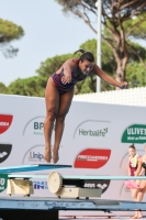 Thumbnail - Arianna Pelligra - Plongeon - 2023 - Roma Junior Diving Cup - Participants - Girls A 03064_16044.jpg