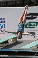 Thumbnail - Manou Meulebeek - Прыжки в воду - 2023 - Roma Junior Diving Cup - Participants - Girls A 03064_16072.jpg