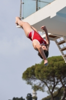 Thumbnail - Martina Battello - Tuffi Sport - 2023 - Roma Junior Diving Cup - Participants - Girls A 03064_18285.jpg