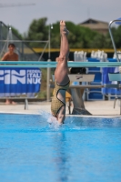 Thumbnail - Viola - Diving Sports - 2023 - Trofeo Giovanissimi Finale - Participants - Girls C2 03065_02239.jpg