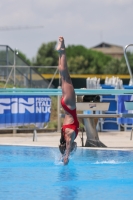 Thumbnail - Aurora - Diving Sports - 2023 - Trofeo Giovanissimi Finale - Participants - Girls C2 03065_02511.jpg