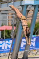 Thumbnail - Viola - Diving Sports - 2023 - Trofeo Giovanissimi Finale - Participants - Girls C2 03065_03414.jpg