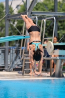 Thumbnail - Emma D - Diving Sports - 2023 - Trofeo Giovanissimi Finale - Participants - Girls C2 03065_10366.jpg