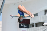 Thumbnail - Girls C2 - Diving Sports - 2023 - Trofeo Giovanissimi Finale - Participants 03065_10601.jpg