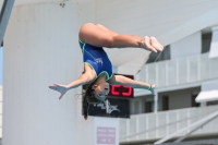 Thumbnail - Girls C2 - Diving Sports - 2023 - Trofeo Giovanissimi Finale - Participants 03065_10602.jpg