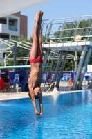 Thumbnail - Denis - Plongeon - 2023 - Trofeo Giovanissimi Finale - Participants - Boys C1 03065_13576.jpg