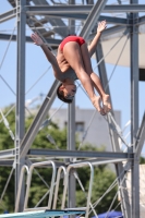 Thumbnail - Lorenzo - Diving Sports - 2023 - Trofeo Giovanissimi Finale - Participants - Boys C1 03065_14610.jpg